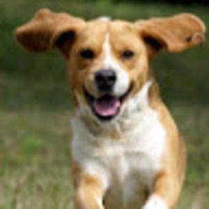 Meet your Posher, Evan